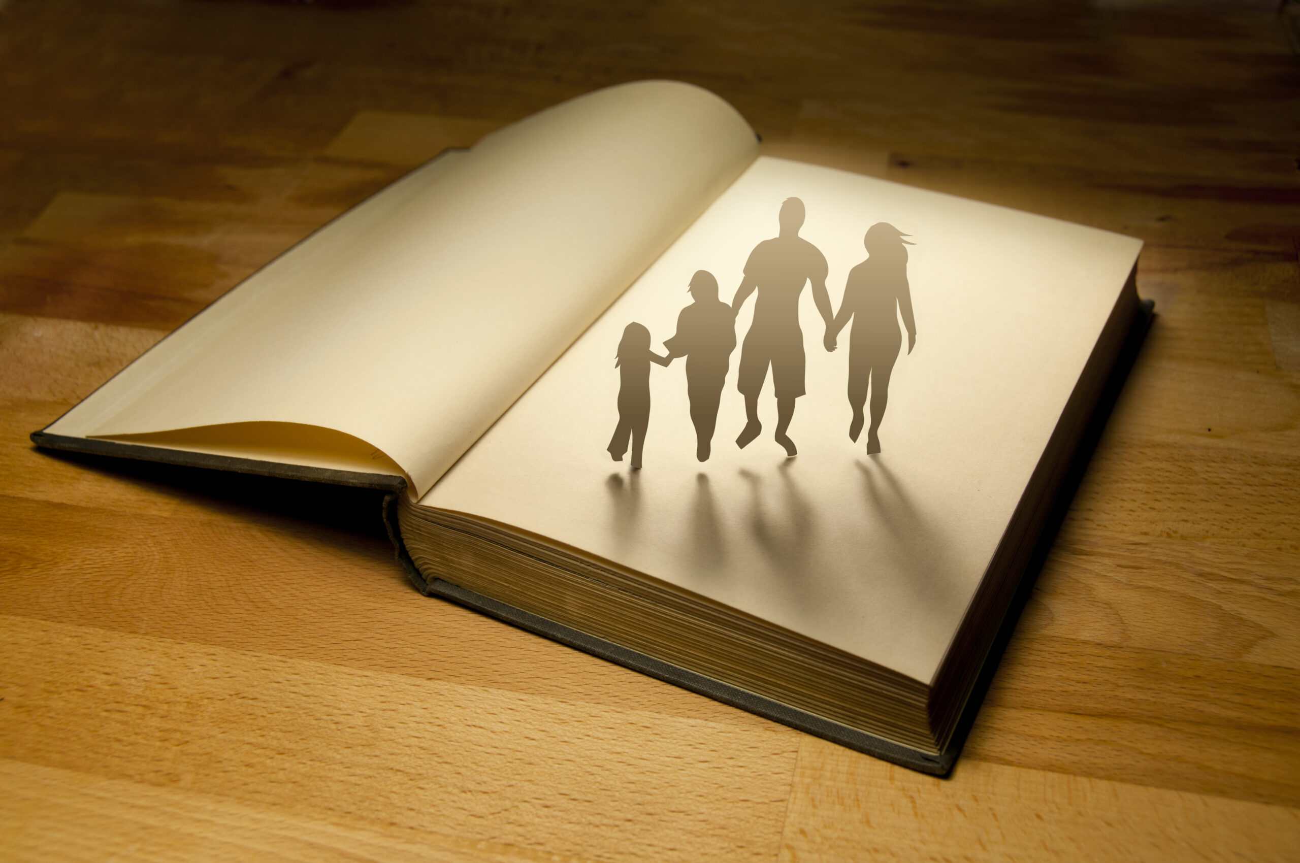 Семейная история читать