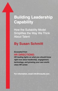 Susan Schmitt Chapter Cover