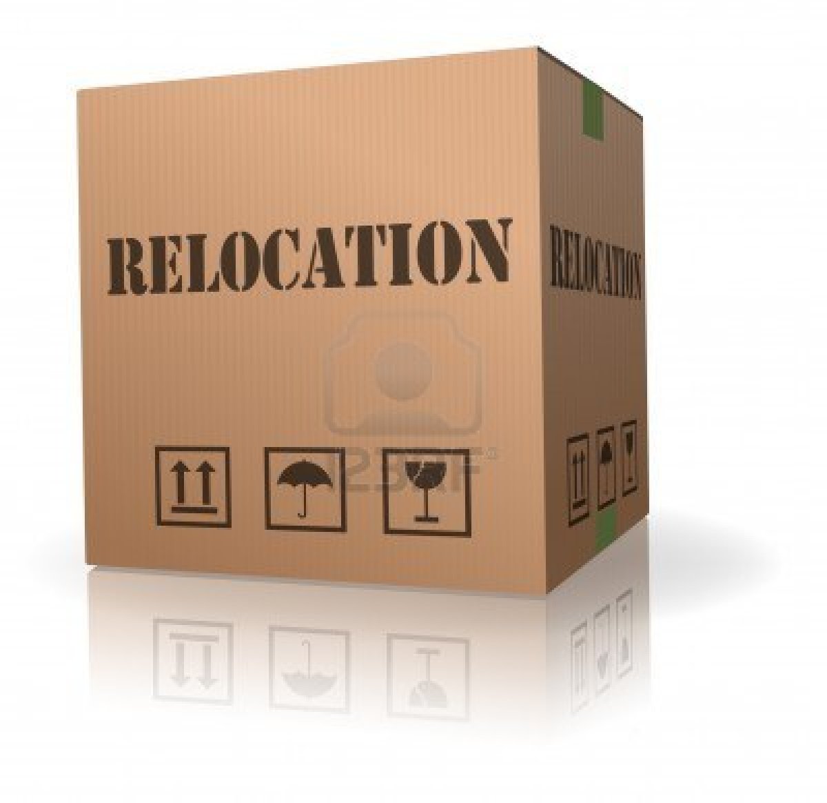 Corporate Relocation Failure: Factors that Influence Success Rate