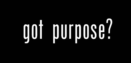 Emphasizing Purpose and Meaning in the Workplace in this New Era