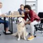 return to work