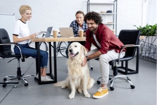 Want Employees To Return To The Office?  Then You Better Let Them Bring Their Pets