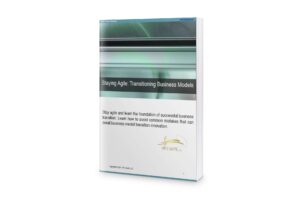 Stay Agile: Business Transitioning Models