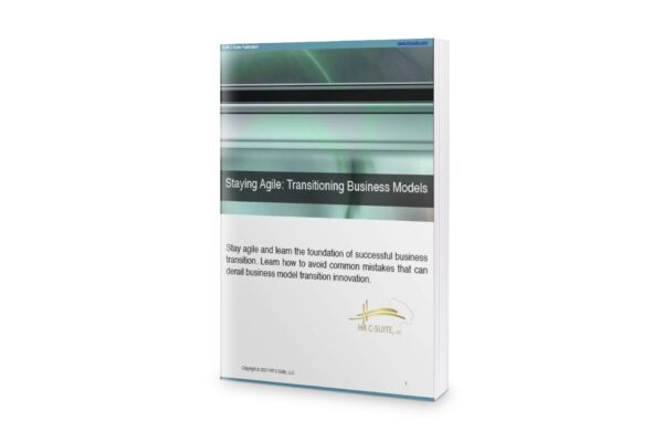 Stay Agile: Business Transitioning Models